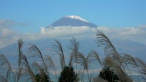 富士山