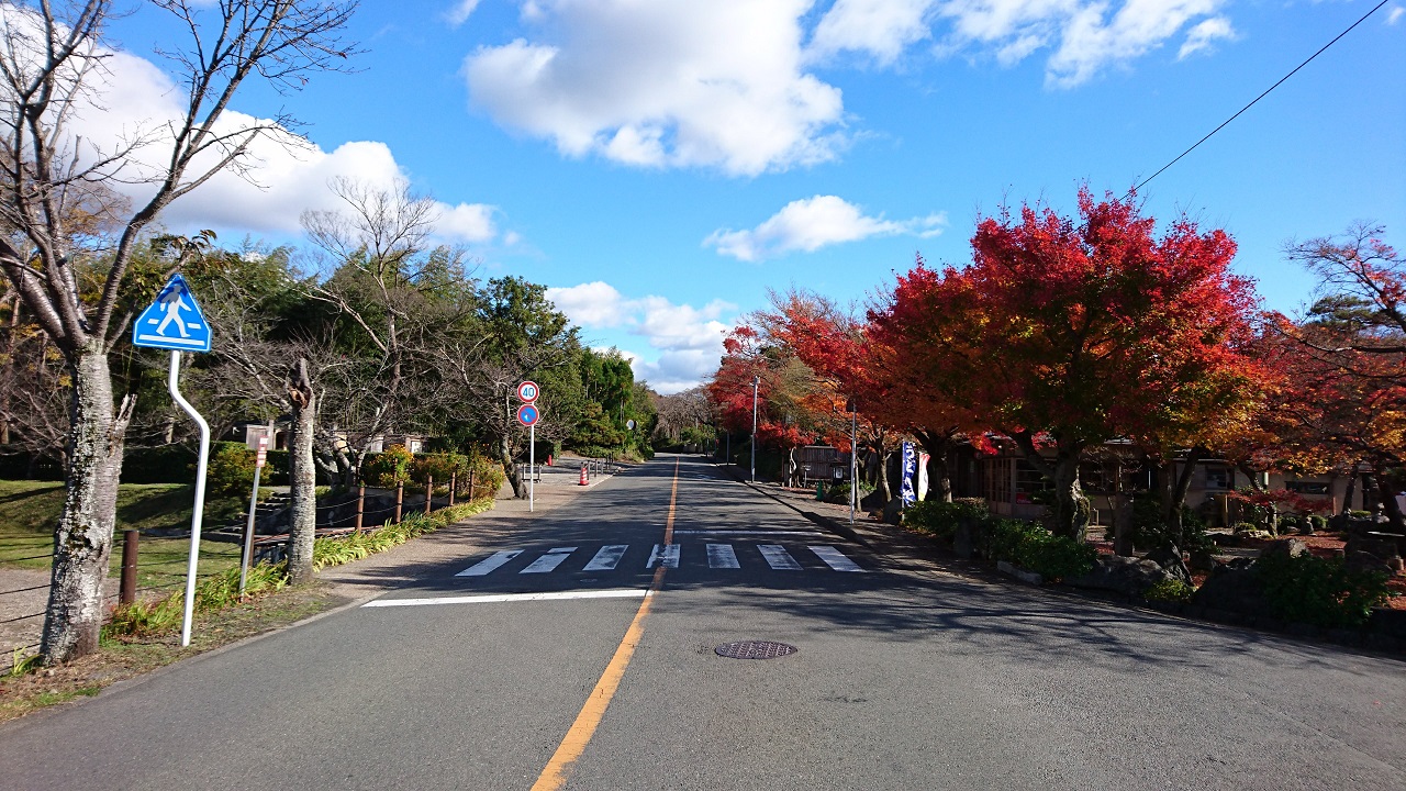 京都マラソンのコース最難関区間