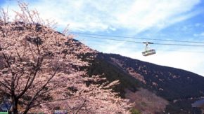 近鉄･別府ロープウェイ(大分)