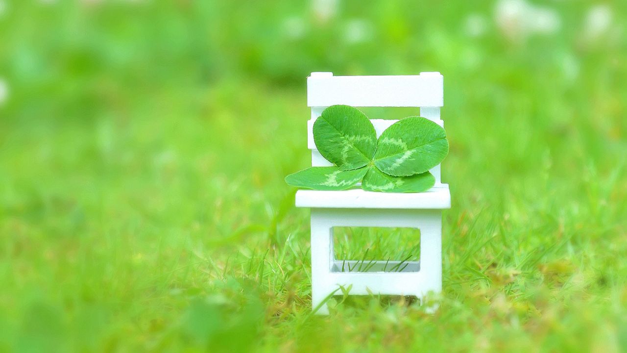 https://www.happy-clovers.com/wp-content/uploads/2020/07/CloverChairMV1280.jpg