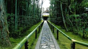 大徳寺塔頭高桐院