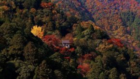 大悲閣 千光寺